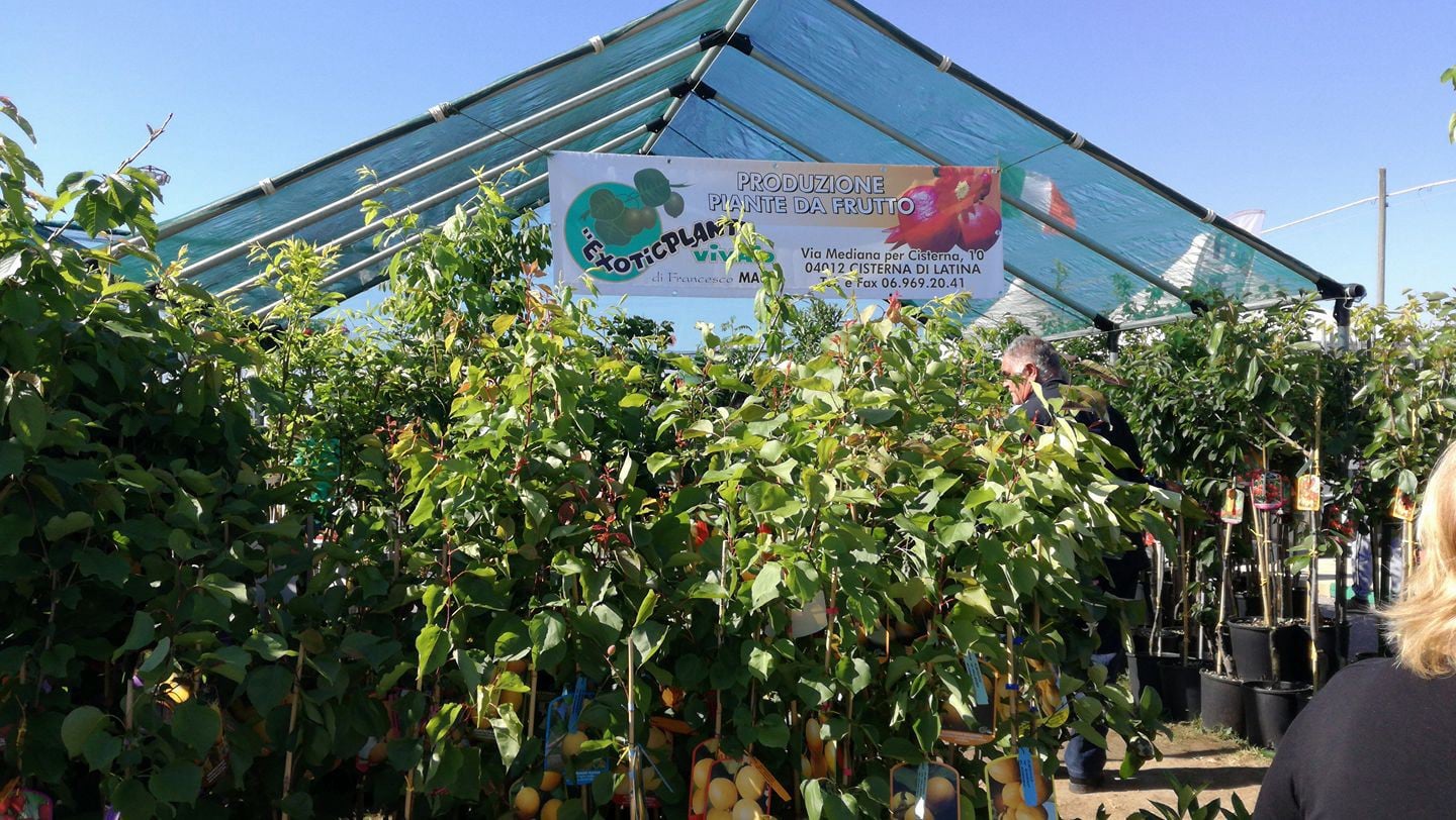 Exoticplant Vivaio di Francesco Maule